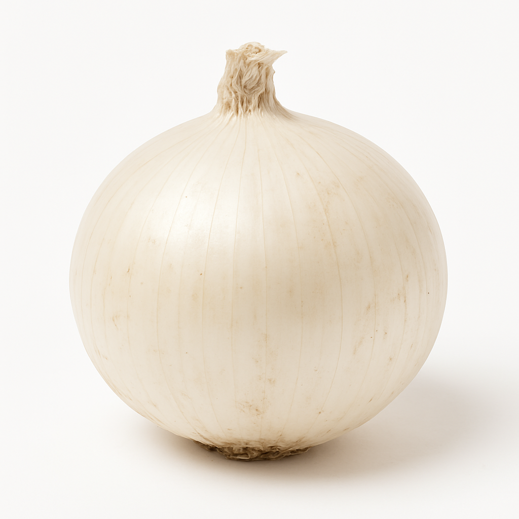 Cebolla Blanca Comercial