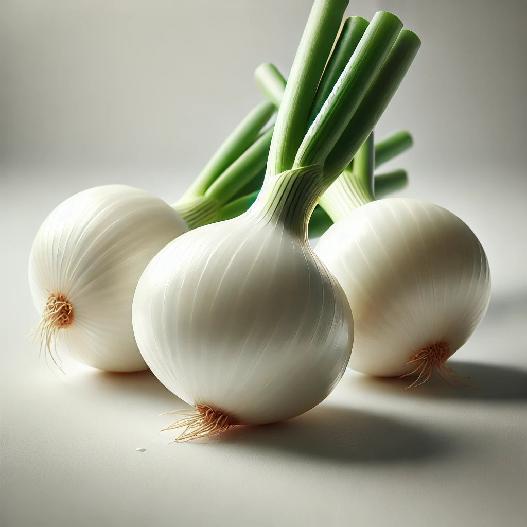 Cebolla Cambray Redonda Sin Rabo