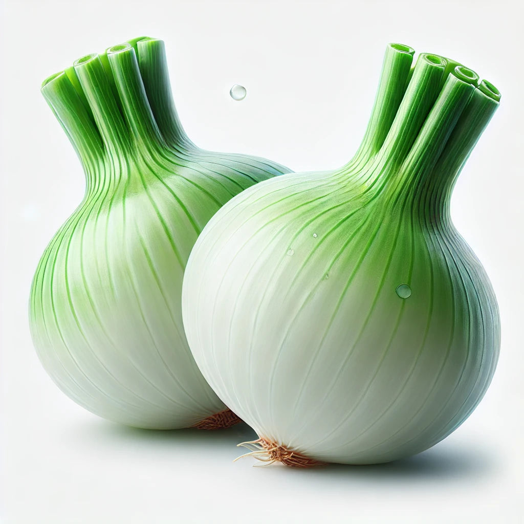 Cebolla Cambray Redonda Sin Rabo