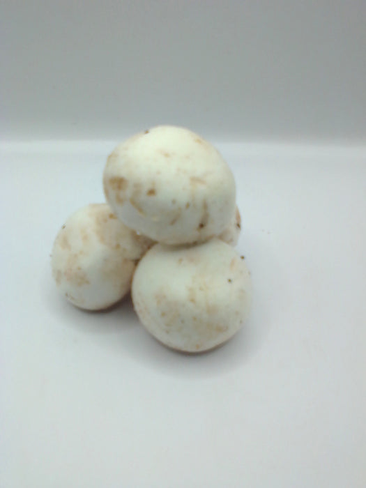 Champiñon Blanco