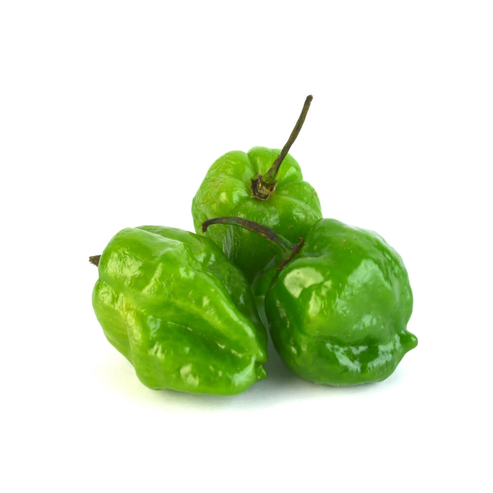 Chile Habanero Verde