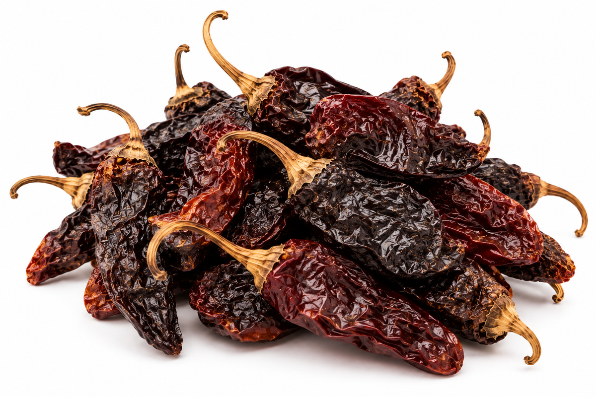 Chile Morita Segunda