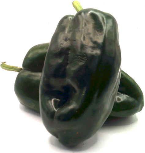 Chile Poblano Grande Premium