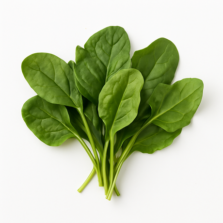 Espinaca Por Kilo Comercial