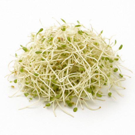 Germen De Alfalfa Comercial