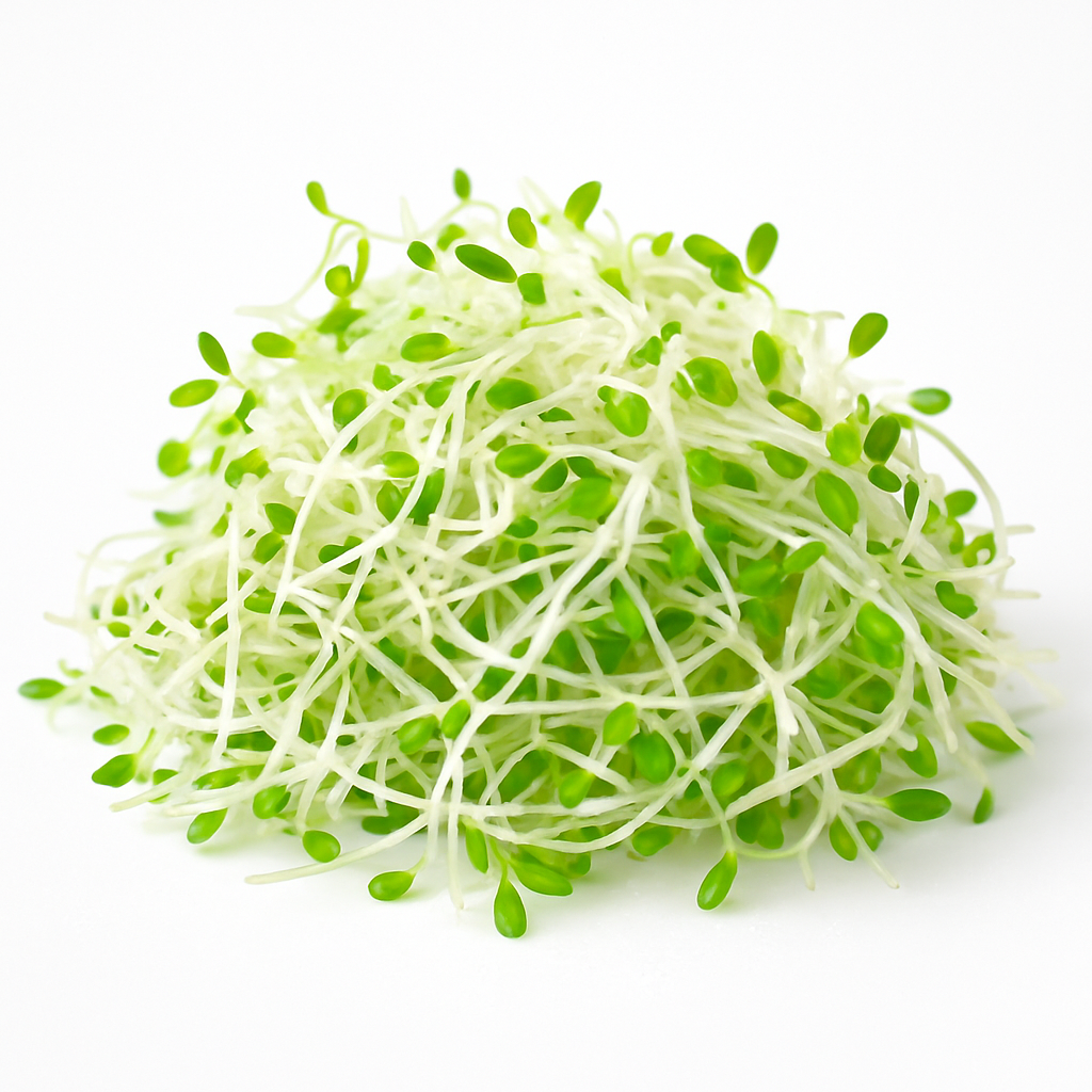 Germen De Alfalfa Premium