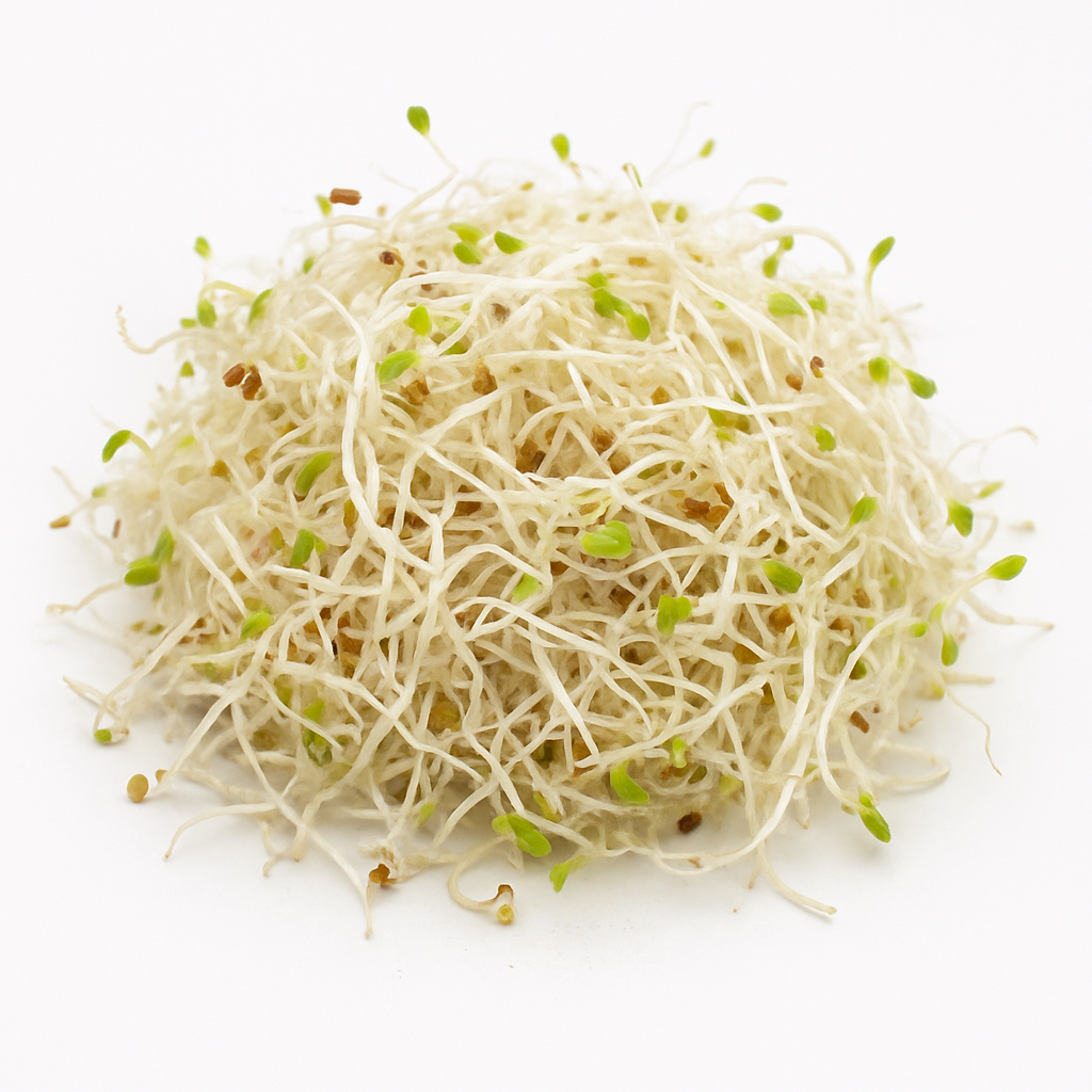 Germen De Alfalfa Comercial