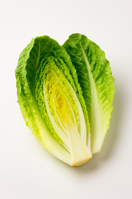 Lechuga Orejona Comercial