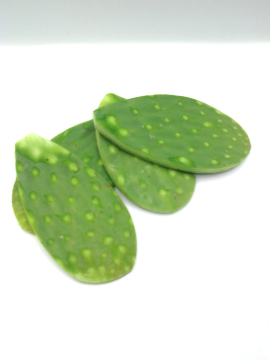 Nopal Cambray Por Kilo