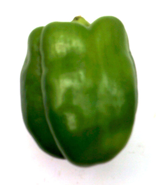 Pimiento Morron Verde Premium