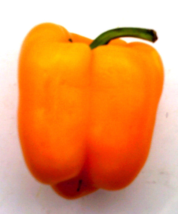 Pimiento Morron Naranja Premium