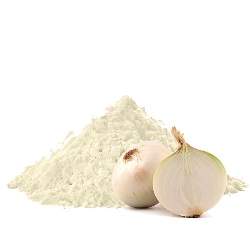 Cebolla en Polvo