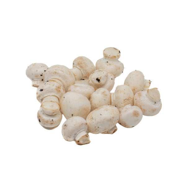 Champiñón Botón