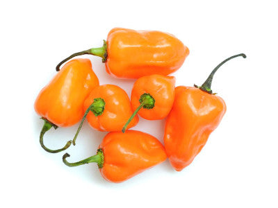 Chile Habanero Naranja