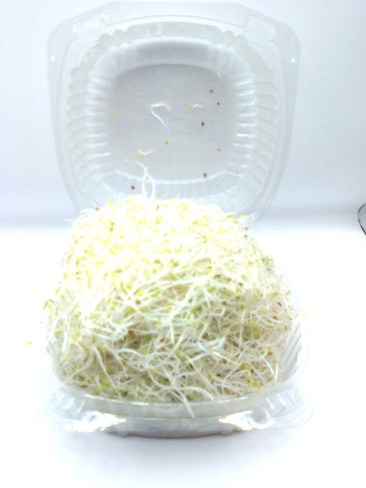 Germen De Alfalfa por Domo