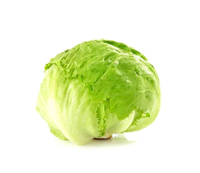 Lechuga Romana Premium