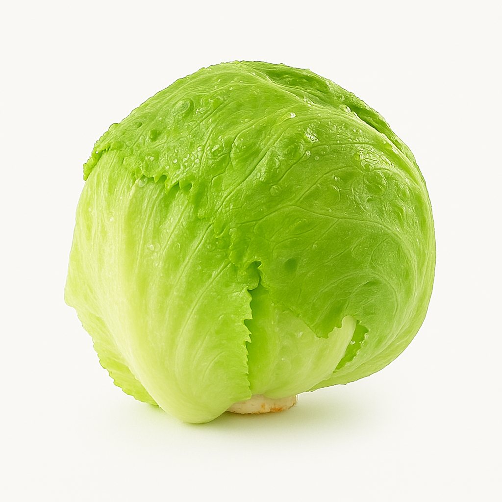 Lechuga Romana Premium