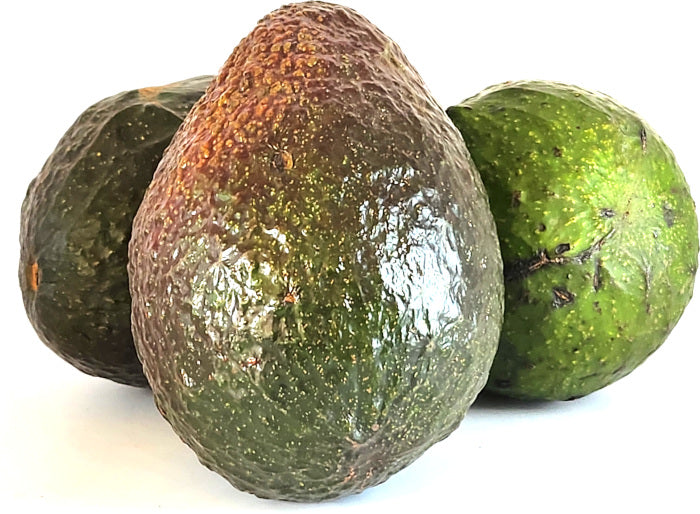 Aguacate Verde Mediano