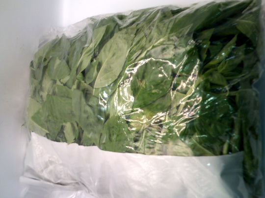 Albahaca Italiana