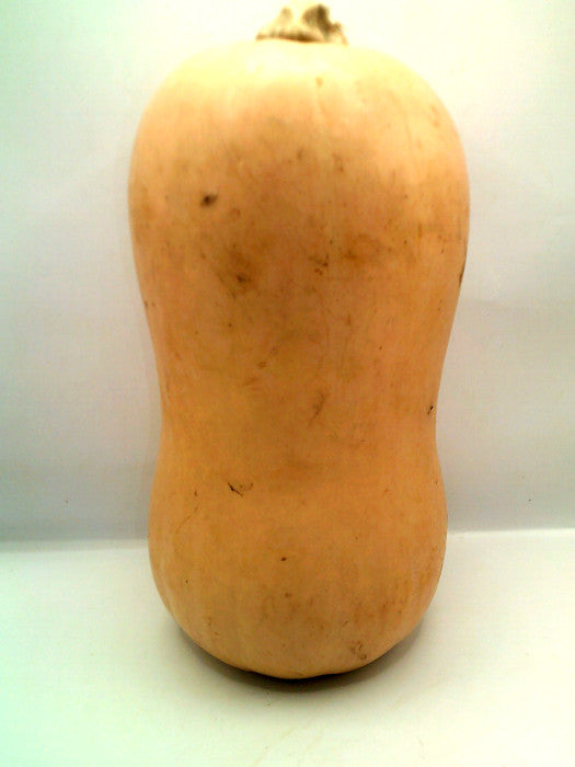 Calabaza Mantequilla