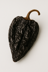 Chile Mulato