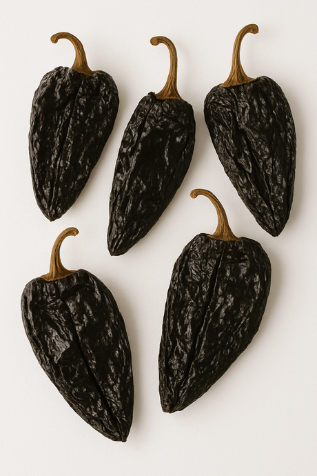 Chile Mulato