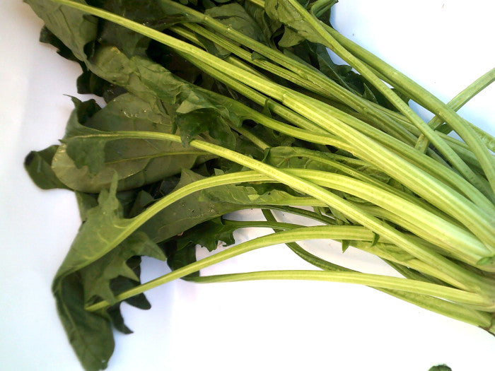 Espinaca Por Kilo Premium