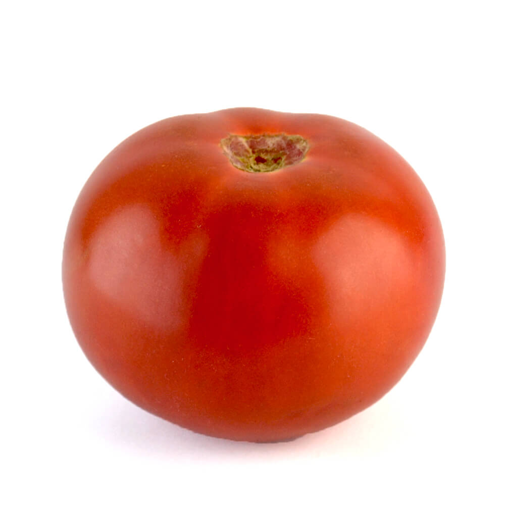 Jitomate Bola