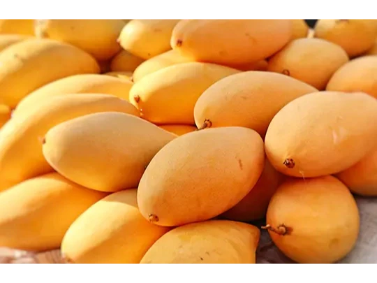 Mango Manila