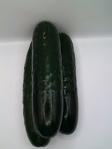 Pepino