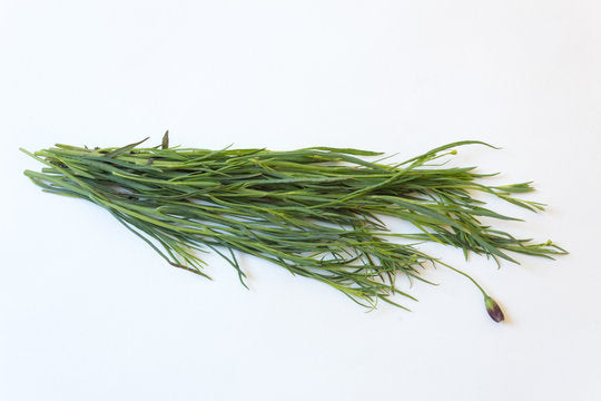 Pipicha Manojo de 250 gramos