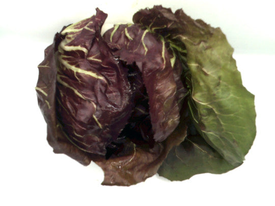 Radicchio