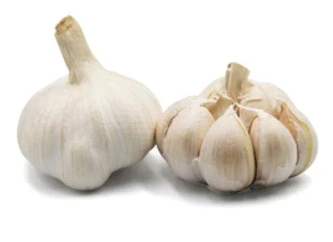 Ajo Italiano