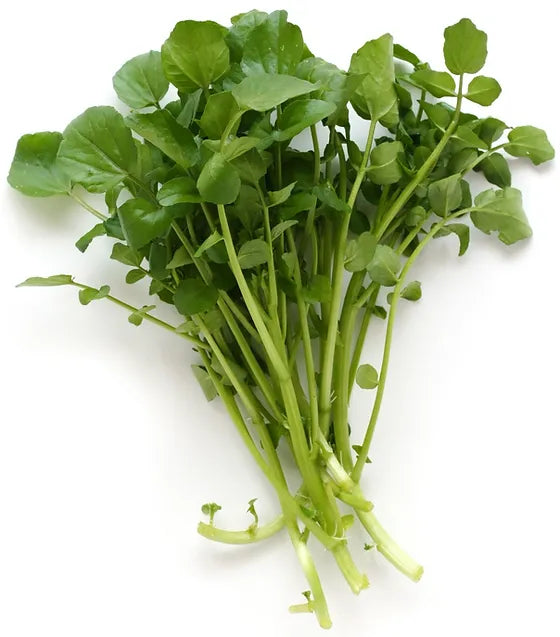 Berros