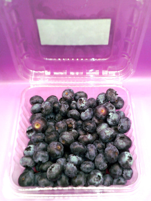 Blueberries