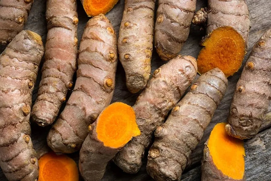 Curcuma