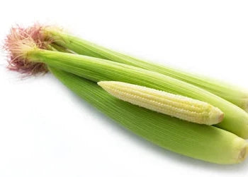 Elote Baby