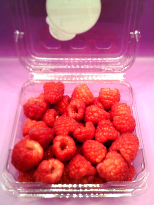 Frambuesa