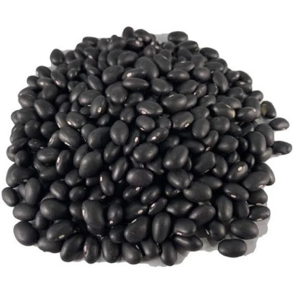 Frijol Negro Americano