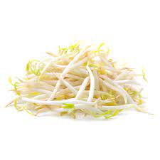 Germen de Soya