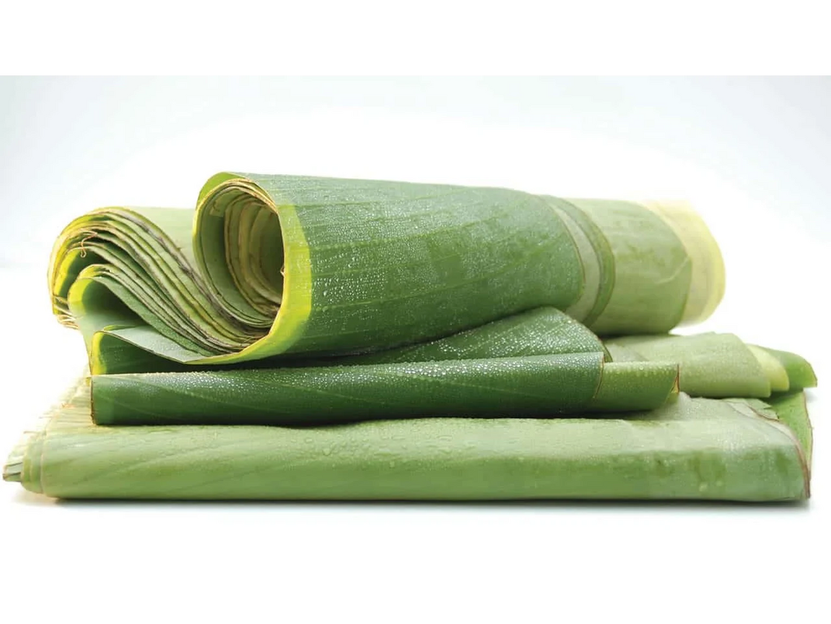 Hoja de Platano