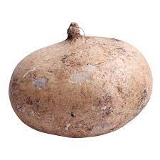 Jicama