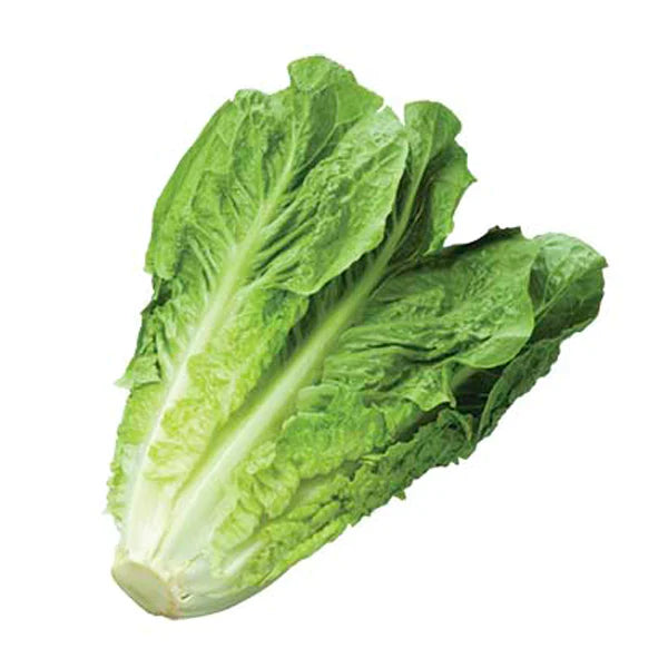 Lechuga Orejona