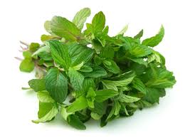 Menta .250 Gramos