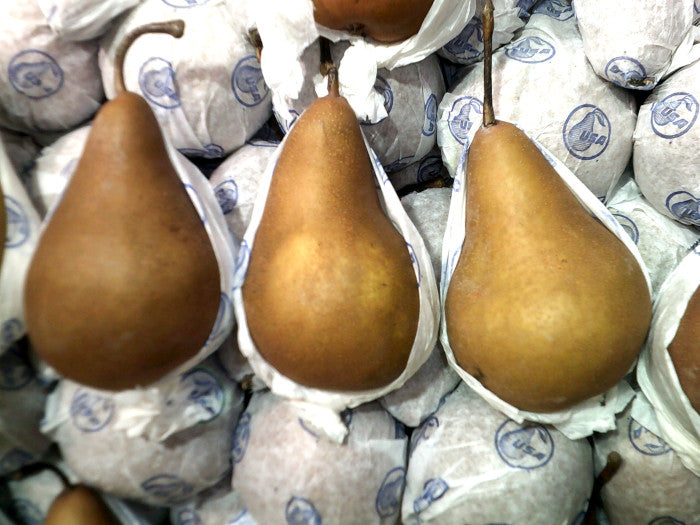 Pera Bosc