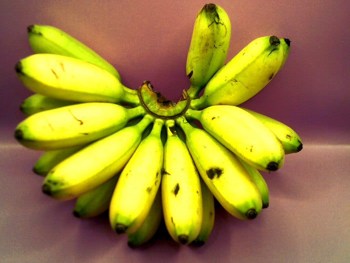 Platano Dominico